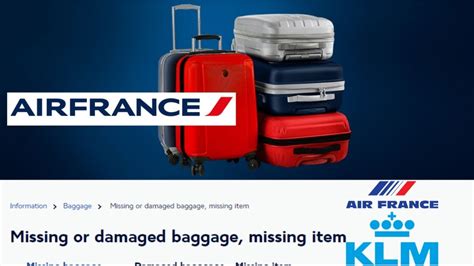 Declaring a missing baggage .